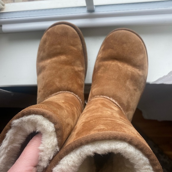 Ugg chestnut short II - Picture 7 of 13